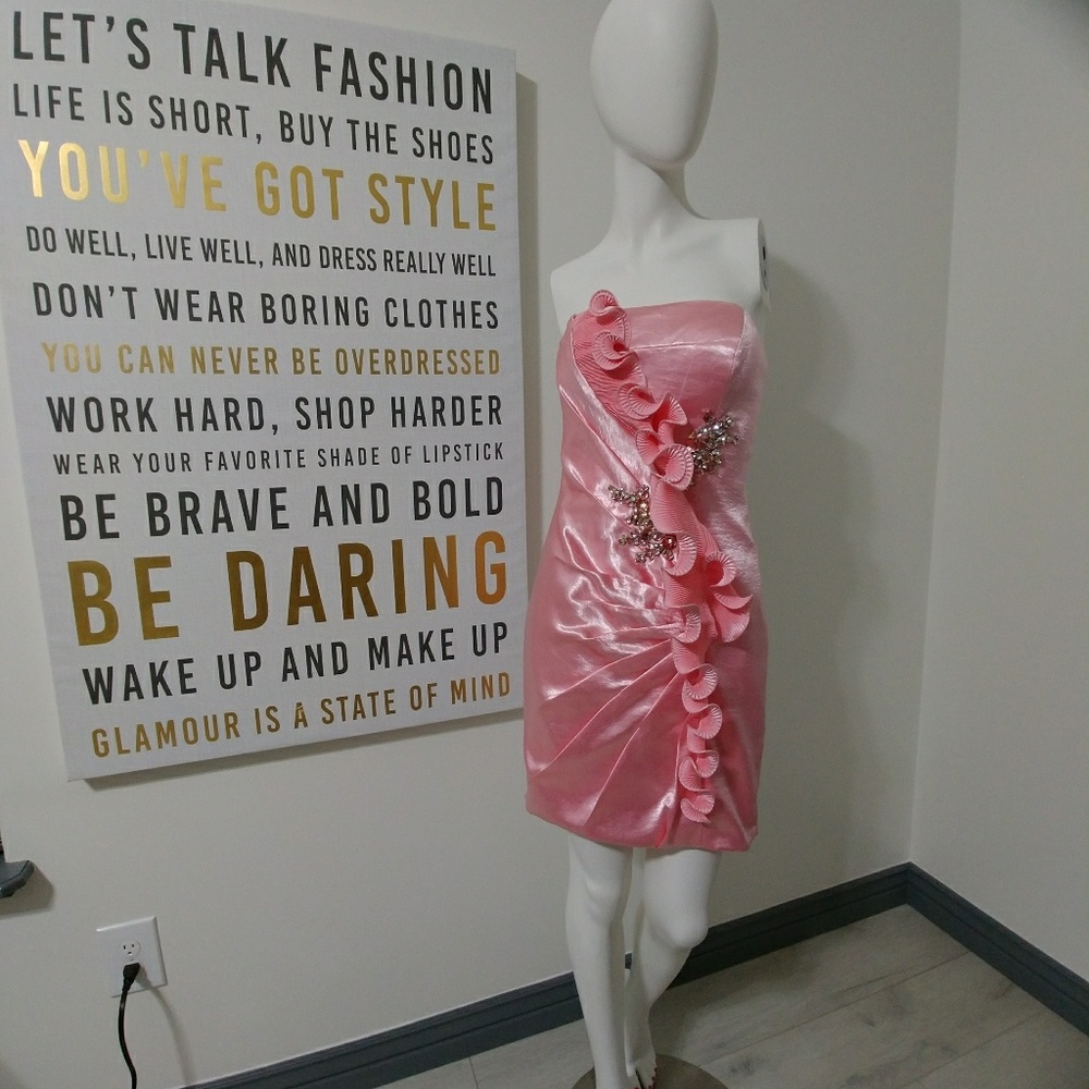 NWOT Gorgeous Soft Pink dress